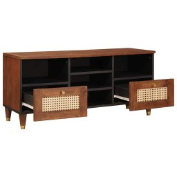 vidaXL TV-kast met lade Bruin 100 x 33,5 x 46 cm Massief Mango Hout