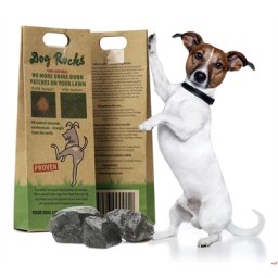 DOG ROCKS 200 GR