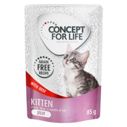 Voordeelpakket Concept for Life graanvrij 48 x 85 g Kattenvoer - Kitten Rund in Gelei