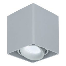 Vierkante LED Opbouwspot Esto - Kantelbaar - Dimbaar - 6500K daglicht wit - 4 Watt 345 Lumen- GU10 - Plafondspot - Voor binnen - Vervangbare afdekring - Grijs