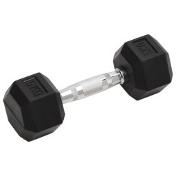 vidaXL Halters 2 st 5 kg totaal gietijzer