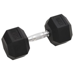 vidaXL Halters 2 st 15 kg totaal gietijzer