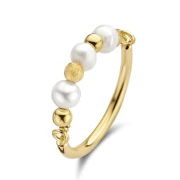 Casa Jewelry Ring Blanca S 52 - Goud Verguld