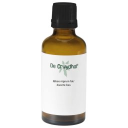 Cruydhof Ribes Nigrum Fol/Zwarte Bes Druppels