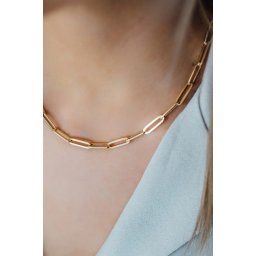 Just Franky ketting Charm geelgoud