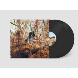 Billy Woods - Golliwog (2 LP)