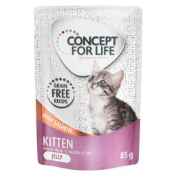 Voordeelpakket Concept for Life graanvrij 24 x 85 g Kattenvoer - Kitten Zalm in Gelei