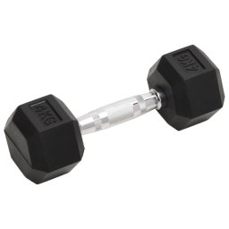 vidaXL Halters 2 st 4 kg totaal gietijzer