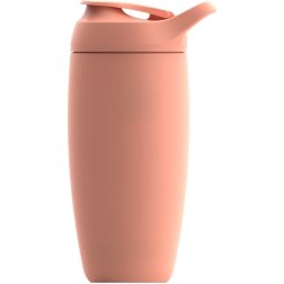 550ml Stainless Steel Insulated Shaker Bottle