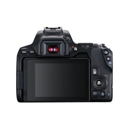Canon EOS 250D Zwart + 18-55mm IS STM + 50mm f/1.8 STM