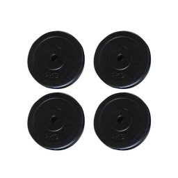 vidaXL Halterschijven 4 st 20 kg