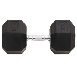 vidaXL Halters 30 kg gietijzer