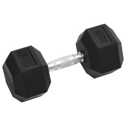 vidaXL Halters 2 st 10 kg totaal gietijzer