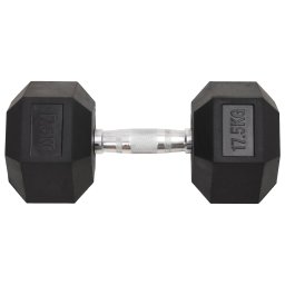 vidaXL Halters 17,5 kg gietijzer