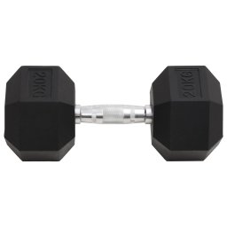vidaXL Halters 20 kg gietijzer