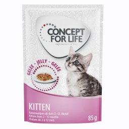 12x85g Kitten in Gelei Concept for Life Kattenvoer