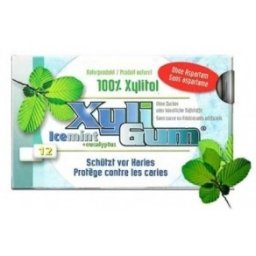 Xyligum Kauwgom Icemint