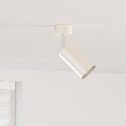 vidaXL Plafondspot met schijnwerpers Nikkel 6 x 6 x 16 cm Metaal