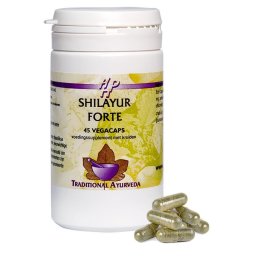 Holisan Shilayur Forte Capsules