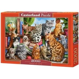 House of Cats Puzzel (2000 stukjes)