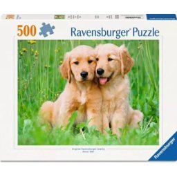 The Golden Retriever Brothers (500 stukjes)