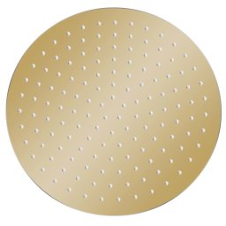 vidaXL Regendouchekop rond 30 cm roestvrij staal goudkleurig