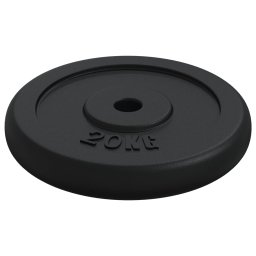 vidaXL Halterschijf 40 kg gietijzer