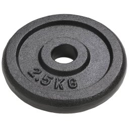 vidaXL Halterschijven 8 st 8x2,5 kg gietijzer