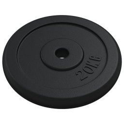 vidaXL Halterschijf 20 kg gietijzer