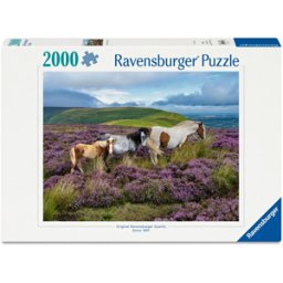 Wild Horses in the Heather Puzzel (2000 stukjes)