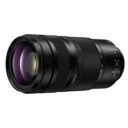 Panasonic LUMIX S 100-500mm f/5-7.1