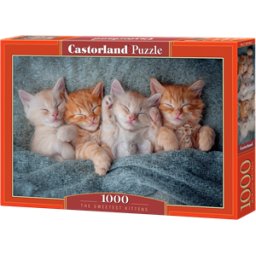The Sweetest Kittens Puzzel (1000 stukjes)