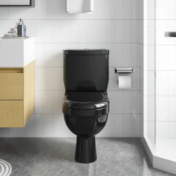 vidaXL Toilet met stortbak zwart