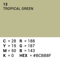 Superior Achtergrondpapier Tropical Green 2.72m x 11m