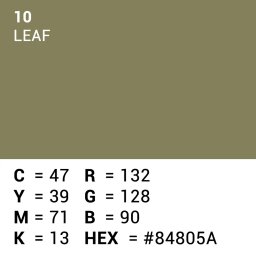 Superior Achtergrondpapier Leaf 2.72m x 11m