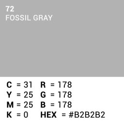 Superior Achtergrondpapier Fossil Grey 2.72m x 11m