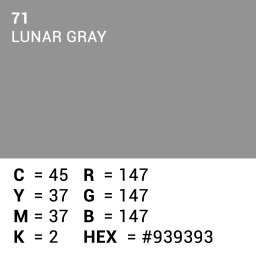 Superior Achtergrondpapier Lunar Gray 2.72m x 11m