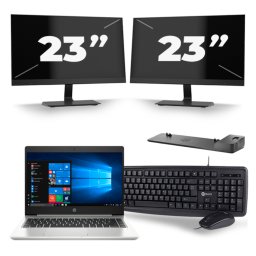 HP ProBook 445 G7 - AMD Ryzen 3 4300U - 14 inch - 8GB RAM - 256GB SSD - Windows 10 + 2x 23 inch Monitor