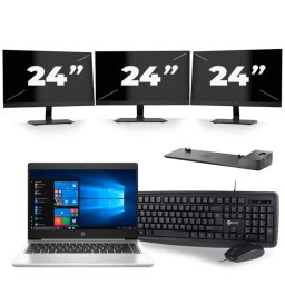 HP ProBook 445 G7 - AMD Ryzen 3 4300U - 14 inch - 8GB RAM - 256GB SSD - Windows 10 + 3x 24 inch Monitor