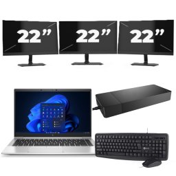 HP EliteBook 845 G8 - AMD Ryzen 3 PRO 5400U - 14 inch - 8GB RAM - 256GB SSD - Windows 11 Home + 3x 22 inch Monitor