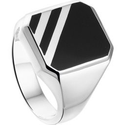 The Jewelry Collection - Zegelring Onyx - Zilver - Maat 19.00