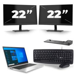 HP EliteBook 845 G7 - AMD Ryzen 3 Pro 4450U - 14 inch - 8GB RAM - 256GB SSD - Windows 10 Home + 2x 22 inch Monitor