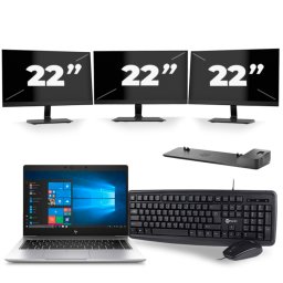 HP EliteBook 745 G6 - AMD Ryzen 5 3500U - 14 inch - 8GB RAM - 256GB SSD - Windows 11 Home + 3x 22 inch Monitor