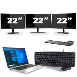 HP EliteBook 845 G7 - AMD Ryzen 3 Pro 4450U - 14 inch - 8GB RAM - 256GB SSD - Windows 10 Home + 3x 22 inch Monitor