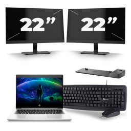 HP ProBook 430 G6 - Intel Core i5-8e Generatie - 13 inch - 8GB RAM - 256GB SSD - Windows 11 + 2x 22 inch Monitor