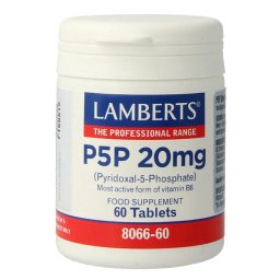 Lamberts P5P 20 mg Tabletten