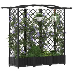 vidaXL Verhoogd Bed met Trellis en Dak Zwart 163 x 40 x 123 cm PP