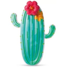 Intex Cactus Luchtbed