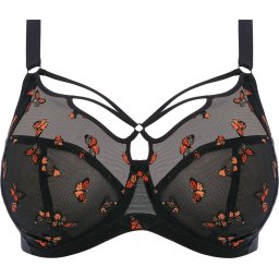 Elomi Sachi Maat 95G UW Plunge Bra Dames Beha - Zwart