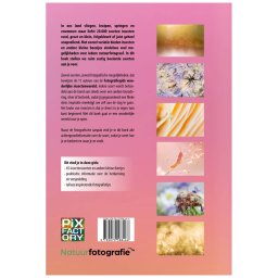 Fotografiegids wonderlijke insectenwereld